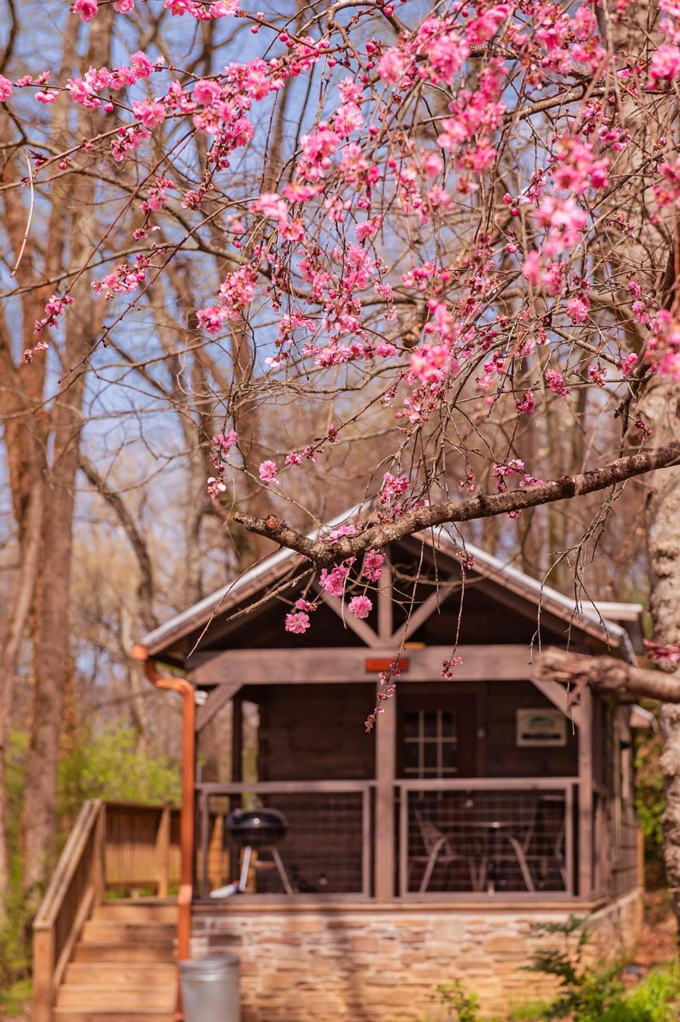 Ryon Tiny Home Cabin City-Side Rustic Retreat Chattanooga Kültér fotó